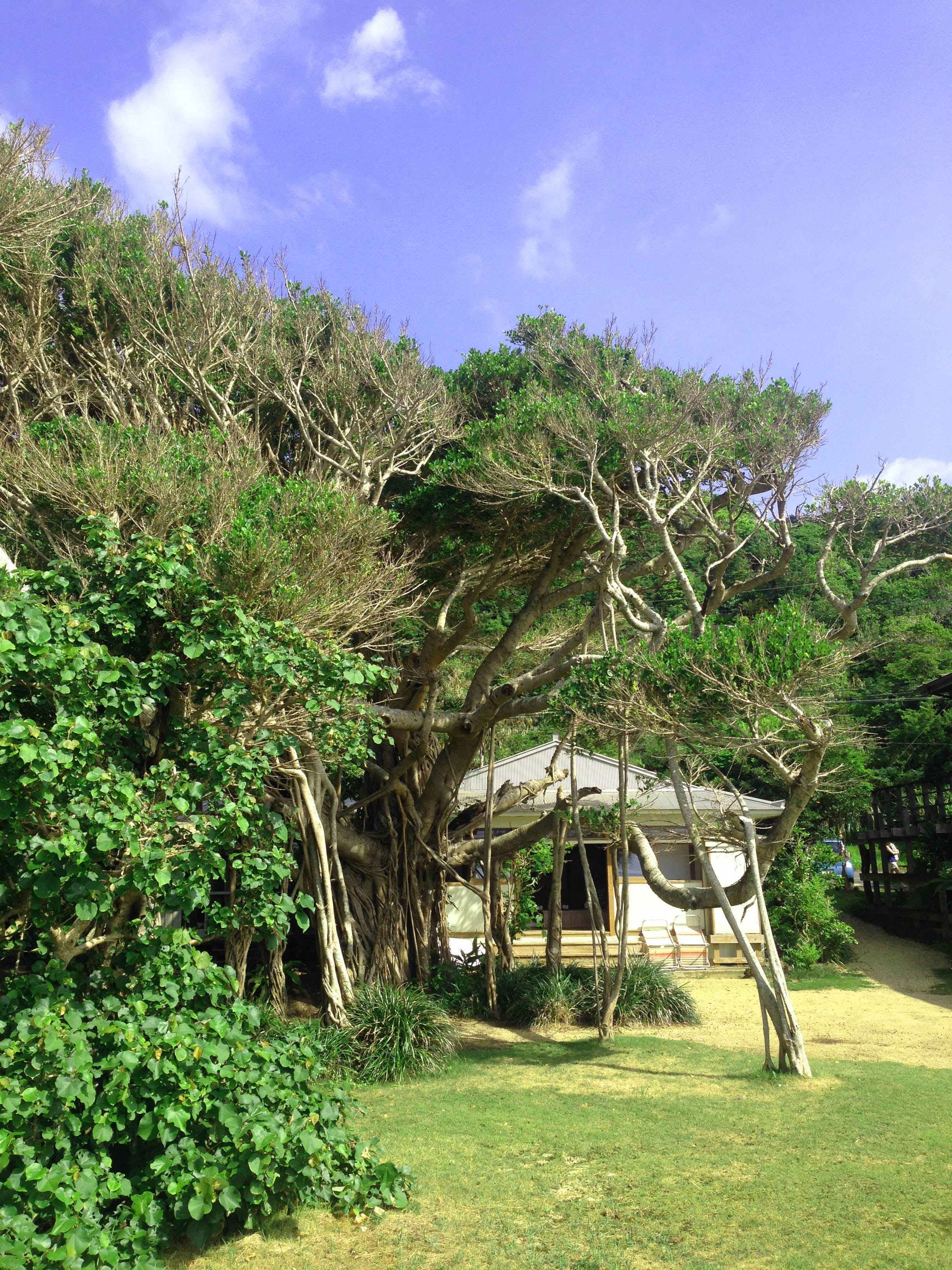 CHILL-OUT in Amami Oshima SUMMER VACATION 2014☆